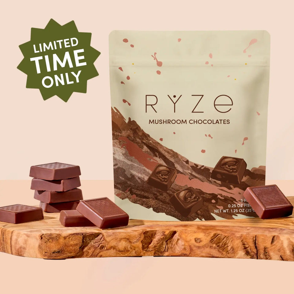 Mushroom Chocolates Rye (15 pieces) - Daily Pour